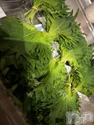 ��ˬ����Х��顦����֥���� �ץ���� ��ˬ(����� �ץ���� ����) �̰� �椤��2��11���̥�֥��������դ��������󡪡�����