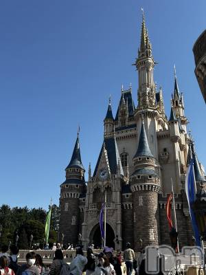 ��ˬ����Х��顦����֥���� �ץ���� ��ˬ(����� �ץ���� ����) �̰� �椤��3��3���̥�֥����ָ��¤���äƤ��ޤ�����