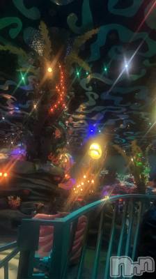 ��ˬ����Х��顦����֥���� �ץ���� ��ˬ(����� �ץ���� ����) �̰� �椤��3��13���̥�֥����ֶ���������