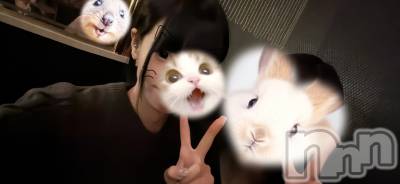 ��ˬ����Х��顦����֥���� �ץ���� ��ˬ(����� �ץ���� ����) �̰� �椤��4��16���̥�֥����ֺ����ν����💭��