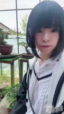 �����жФˤʤ�ޤ�����