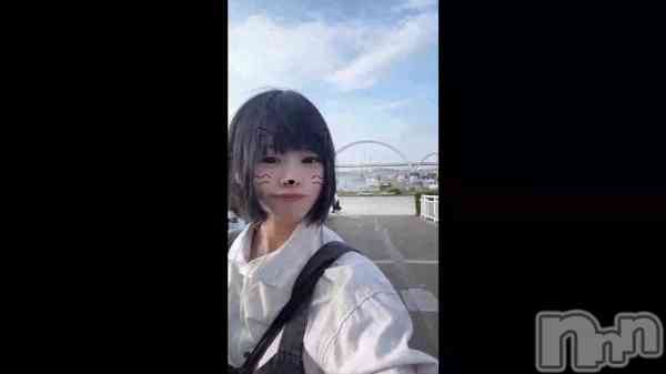 ��🐬🐟🐠��