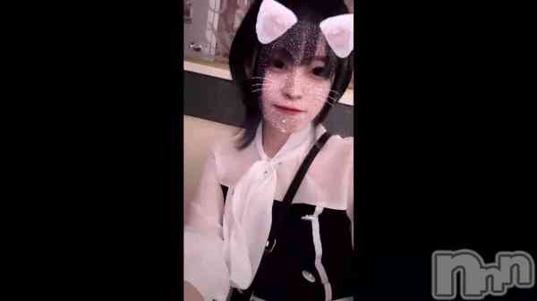 ��(  ⌯₄⌯)��