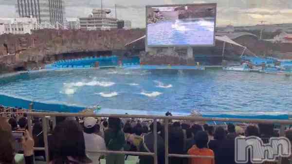 ��̾�Ų�����