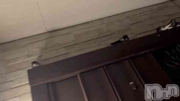 ��🕊  ͗ ͗��