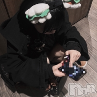 ����� �ץ���� ��ˬ �̰� �椤