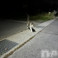 ��ˬ����Х��顦����� ����� �ץ���� ��ˬ(����� �ץ���� ����) �̰� �椤��3��6���̥�֥����ֲ�ʴ�����ɤ�‪🥲‎��