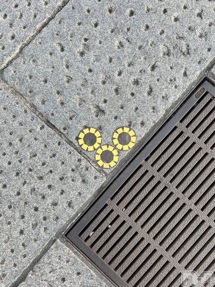 ��ë����Х��顦�����CLUB��Paladin(����֡��ѥ�ǥ���) ŷ�ȡ����Ȥ�5��28���̥�֥�����🧡��