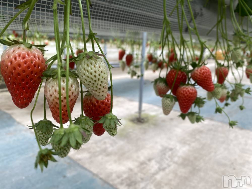 ��ë����Х��顦�����CLUB��Paladin(����֡��ѥ�ǥ���) ŷ�ȡ����Ȥ�5��31���̥�֥�����🧡��