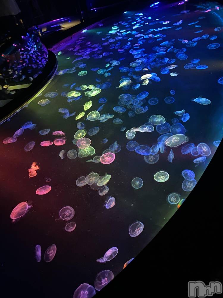 ��ë����Х��顦�����CLUB��Paladin(����֡��ѥ�ǥ���) ŷ�ȡ����Ȥ�6��14���̥�֥�����🧡��