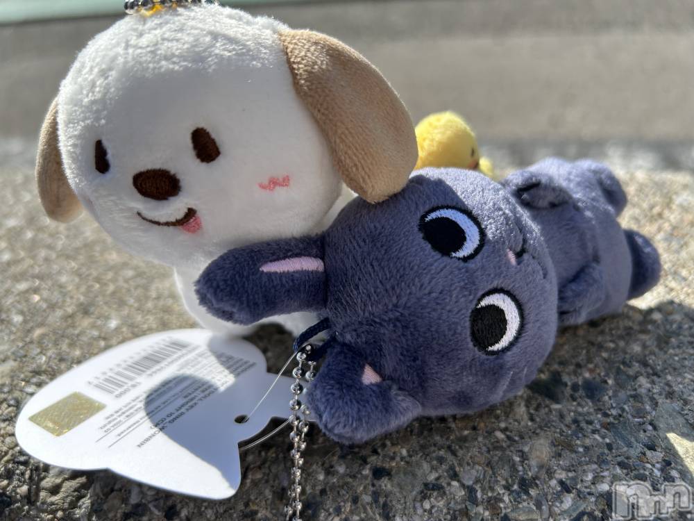 ��ë����Х��顦�����CLUB��Paladin(����֡��ѥ�ǥ���) ŷ�ȡ����Ȥ�6��25���̥�֥�����🧡��