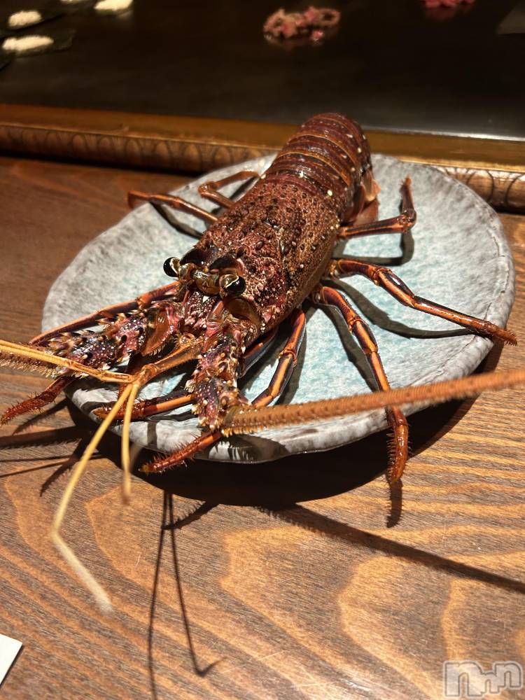 ��ë����Х��顦�����CLUB��Paladin(����֡��ѥ�ǥ���) ŷ�ȡ����Ȥ�9��4���̥�֥�����🧡��