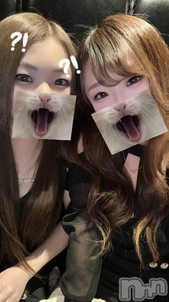 ��ë����Х��顦�����CLUB��Paladin(����֡��ѥ�ǥ���) ŷ�ȡ����Ȥ�3��16���̥�֥�����🧡��