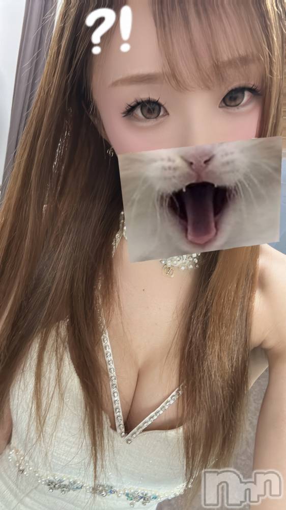 ��ë����Х��顦�����CLUB��Paladin(����֡��ѥ�ǥ���) ŷ�ȡ����Ȥ�12��16���̥�֥�����🧡��