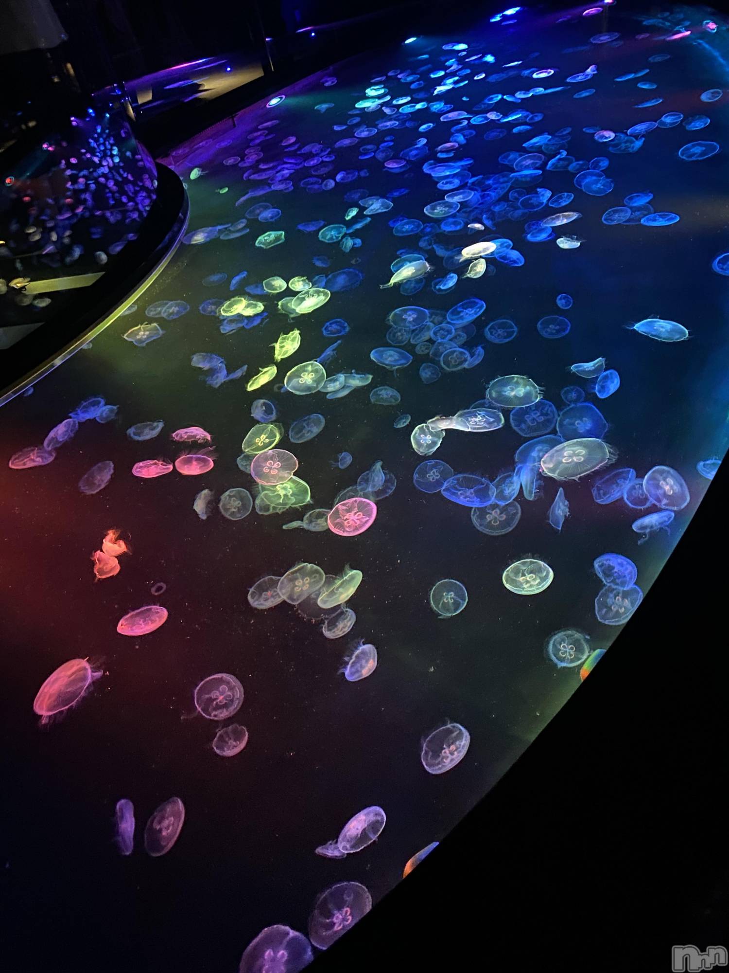 ��ë����Х��顦�����CLUB��Paladin(����֡��ѥ�ǥ���) ��2024ǯ6��14���̥�֥�����🧡��