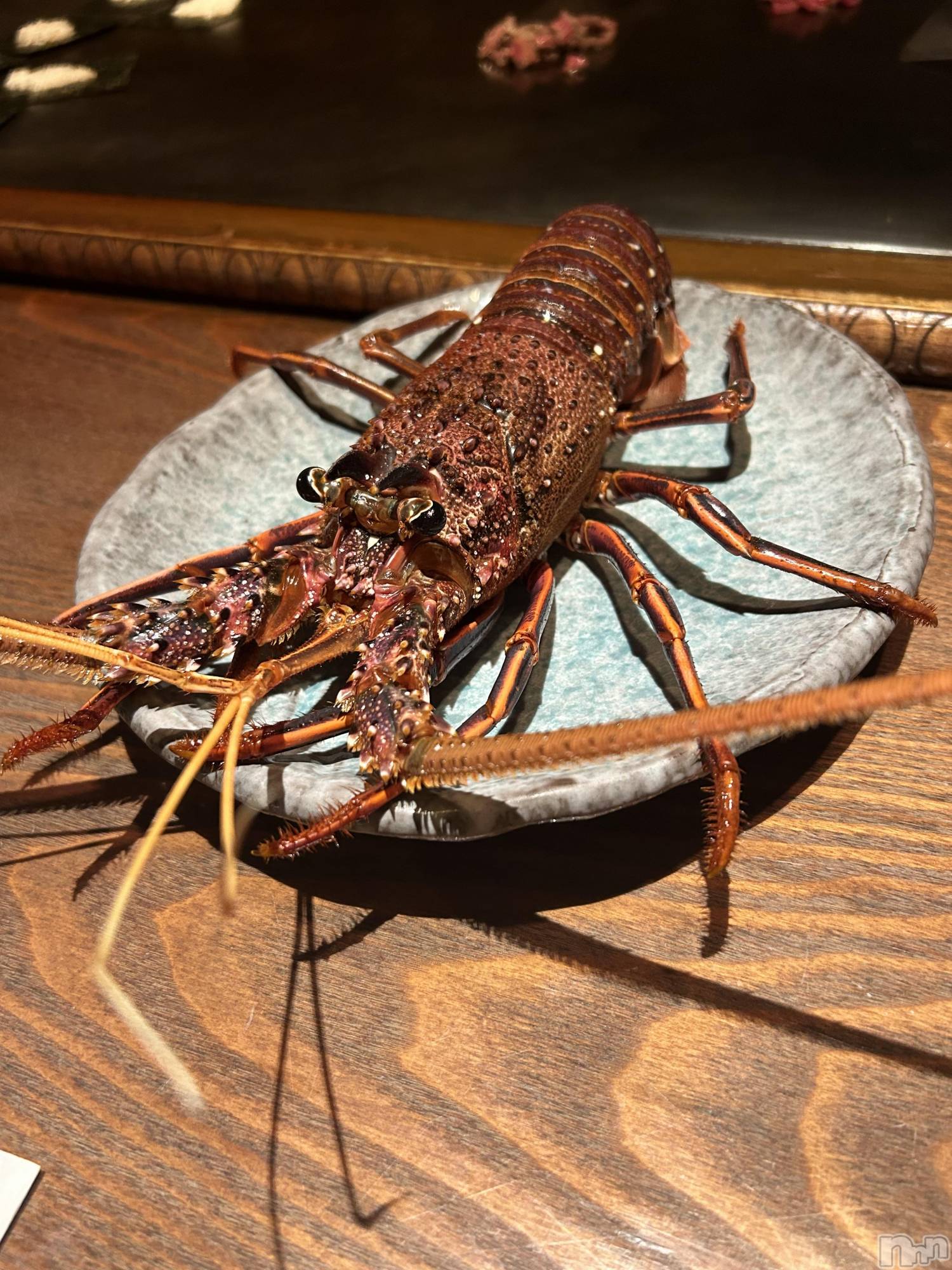 ��ë����Х��顦�����CLUB��Paladin(����֡��ѥ�ǥ���) ��2024ǯ9��4���̥�֥�����🧡��