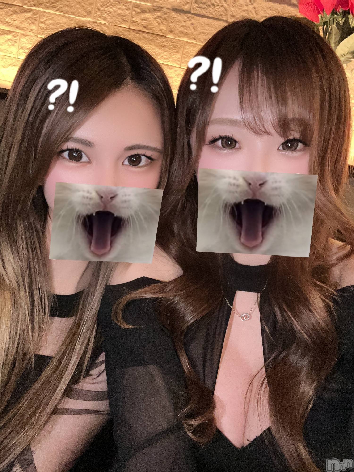 ��ë����Х��顦�����CLUB��Paladin(����֡��ѥ�ǥ���) ��2025ǯ2��21���̥�֥�����🧡��