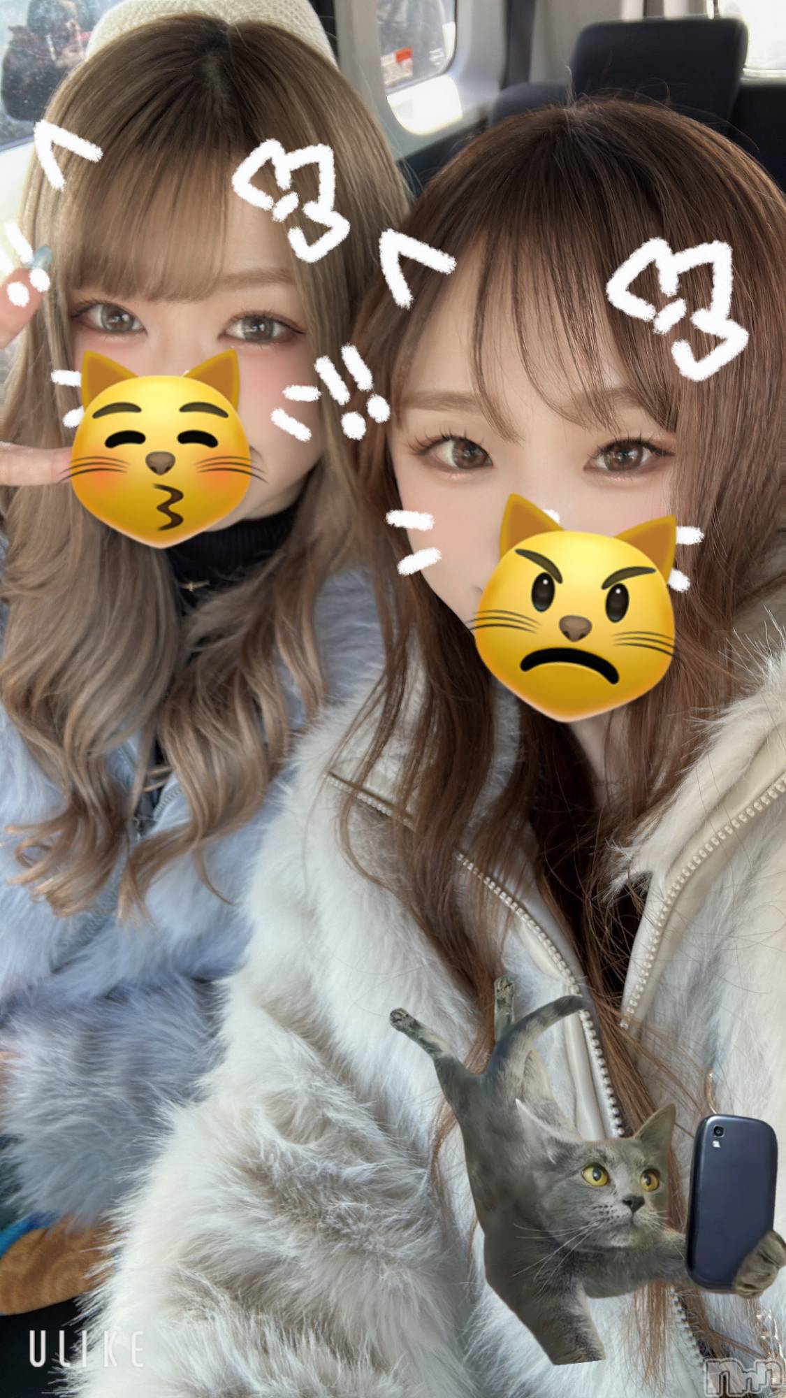 ��ë����Х��顦�����CLUB��Paladin(����֡��ѥ�ǥ���) ��2025ǯ2��28���̥�֥�����🧡��