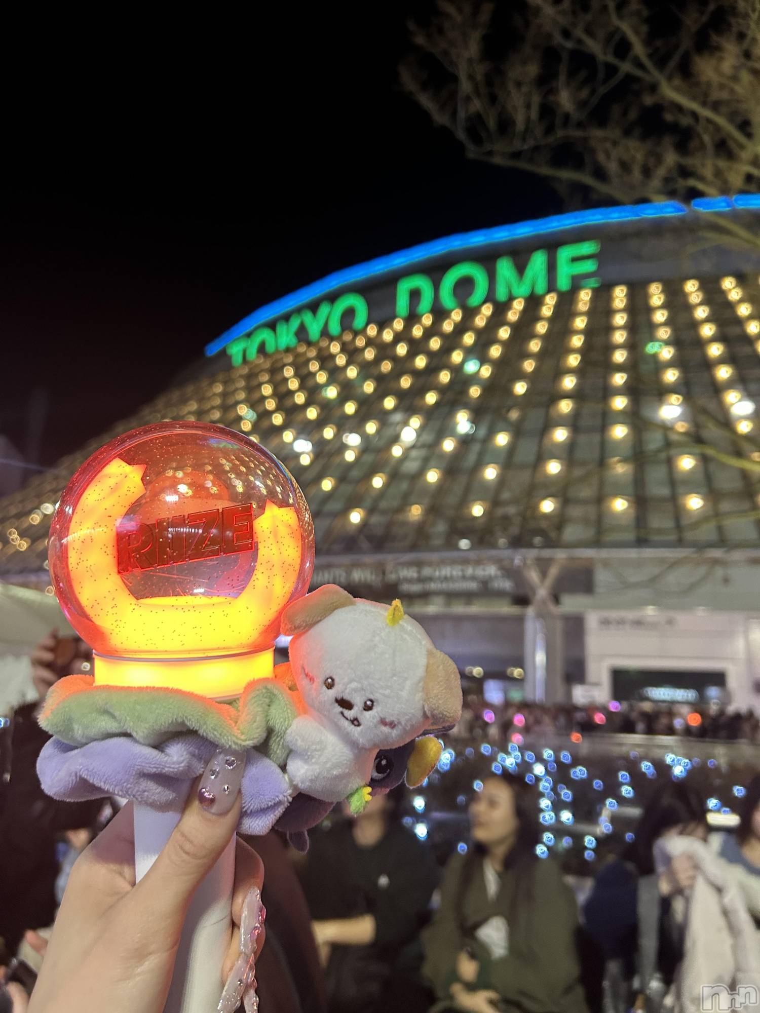 ��ë����Х��顦�����CLUB��Paladin(����֡��ѥ�ǥ���) ��2026ǯ2��27���̥�֥�����🧡��