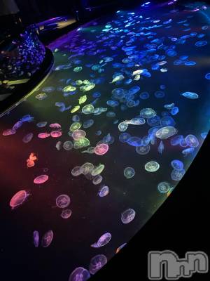 ��ë����Х��顦�����CLUB��Paladin(����֡��ѥ�ǥ���) ŷ�ȡ����Ȥ�6��14���̥�֥�����🧡��