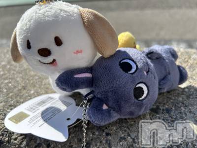 ��ë����Х��顦�����CLUB��Paladin(����֡��ѥ�ǥ���) ŷ�ȡ����Ȥ�6��25���̥�֥�����🧡��