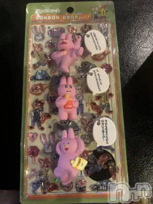 ��ë����Х��顦�����CLUB��Paladin(����֡��ѥ�ǥ���) ŷ�ȡ����Ȥ�2��13���̥�֥�����🧡��