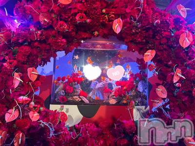 Ĺ襳ѥ˥󥯥ֻĹѥ˥󥯥 HAPPY(󥸥祦ʥѥ˥󥯥 ϥåԡ) դߤʤߤ825ֻ̥֥❤️