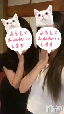 䤤碌