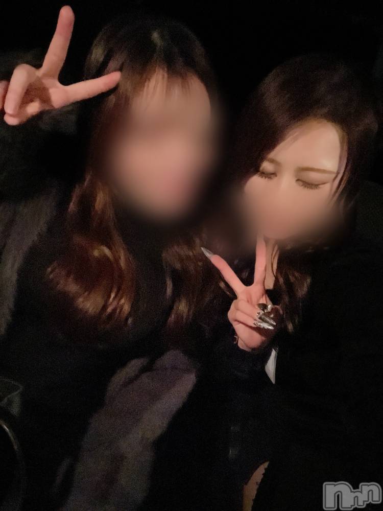 ȯѥ˥󥯥ֿ㥳ѥ˥ -϶15ǯοȼ-(˥ѥ˥󥹥) ᤤΥǹ1123̥֥֤֡