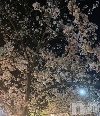 �����������Х��顦�����Diletto(�ǥ���å�) �椢(19)��4��11���̥�֥����֤�������💨��