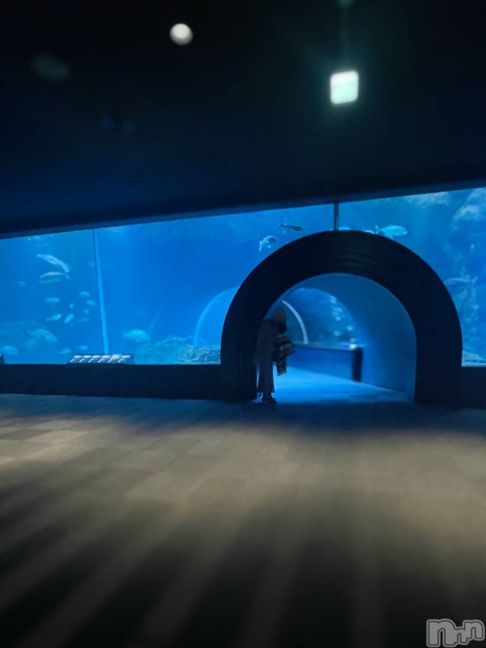 新潟風俗エステSOARIS-ソアリス-(ソアリス)まゆ(27)の2025年4月17日写メブログ「💌 リピMさんへ」