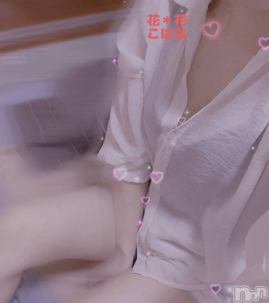 㡦ȯĥꥢ󥺥Ʋ֡(ϥʥϥ) Ϥʤ102̥֥֤դˤդˤ