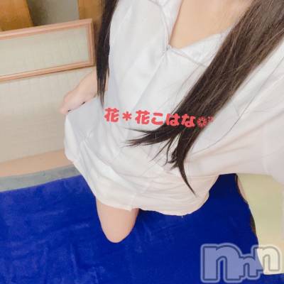 㡦ȯĥꥢ󥺥Ʋ֡(ϥʥϥ) Ϥ(35)617̥֥֤Ĥá