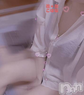 㡦ȯĥꥢ󥺥Ʋ֡(ϥʥϥ) Ϥ(35)102̥֥֤դˤդˤ