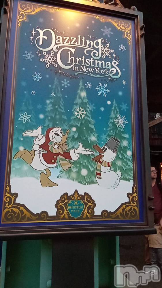 ȯѥ˥󥯥֥ѥ˥󥯥 饤 ȤϤ1116̥֥֤꤬Ȥޤ😊