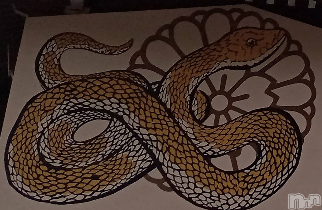 ȯѥ˥󥯥֥ѥ˥󥯥 饤 2025ǯ16ֶ̥֥쿷ǯ🐍👑