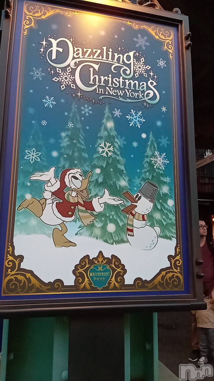 ȯѥ˥󥯥֥ѥ˥󥯥 饤 2025ǯ1116̥֥֤꤬Ȥޤ😊