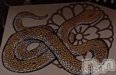 ȯѥ˥󥯥֥ѥ˥󥯥 饤 ȤϤ16ֶ̥֥쿷ǯ🐍👑