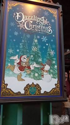 ȯѥ˥󥯥֥ѥ˥󥯥 饤 ȤϤ1116̥֥֤꤬Ȥޤ😊