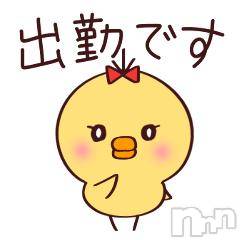 新潟デリヘル奥様特急 新潟店(オクサマトッキュウニイガタテン)かない(29)の2025年6月2日写メブログ「出勤日！」