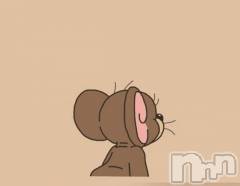 新潟デリヘル奥様特急 新潟店(オクサマトッキュウニイガタテン) かない(29)の5月16日写メブログ「サンルートの本指名様♡」