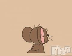 新潟デリヘル奥様特急 新潟店(オクサマトッキュウニイガタテン) かない(29)の5月19日写メブログ「ホテルムニューモナコのお客様♡」