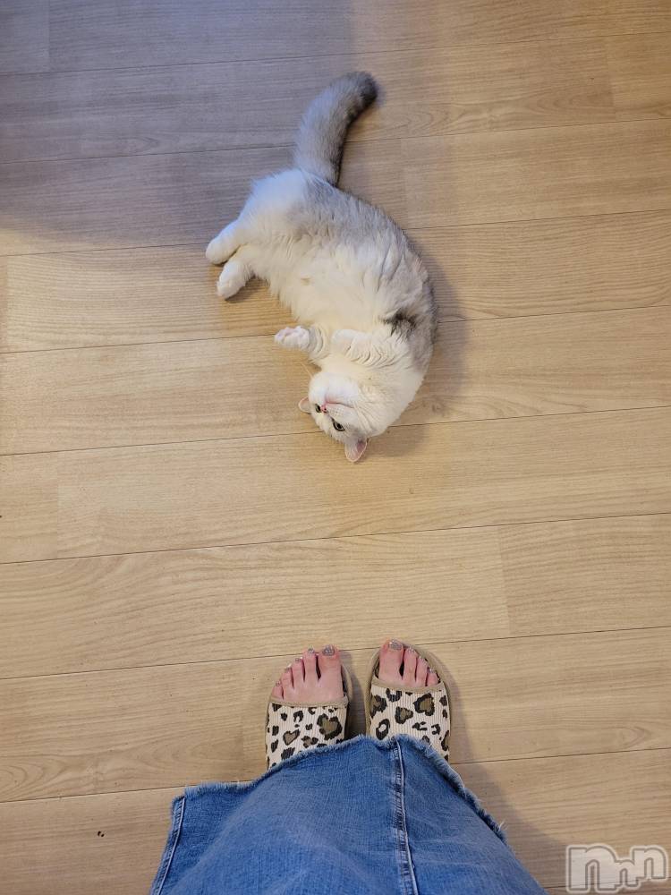 Х顦ֽϽХ Lips(奯祭Хåץ) 927ֲ̥֥椬Ȥ̼🐱💕