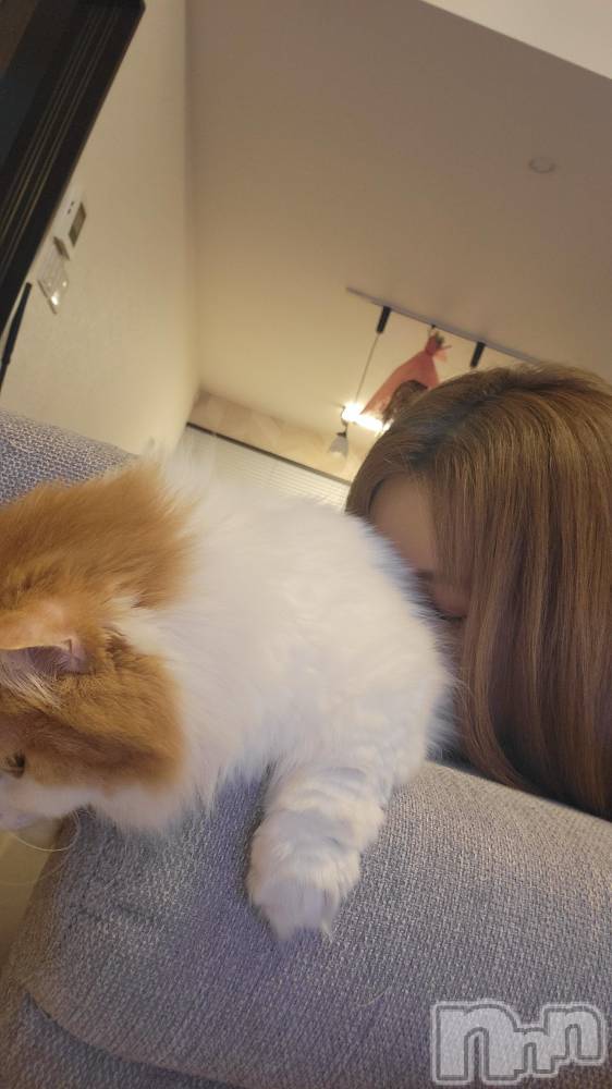 Х顦ֽϽХ Lips(奯祭Хåץ) 1022̥֥ǭۤ🐈️