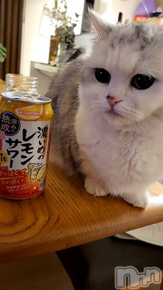 Х顦ֽϽХ Lips(奯祭Хåץ) 14̥֥🏠🍺