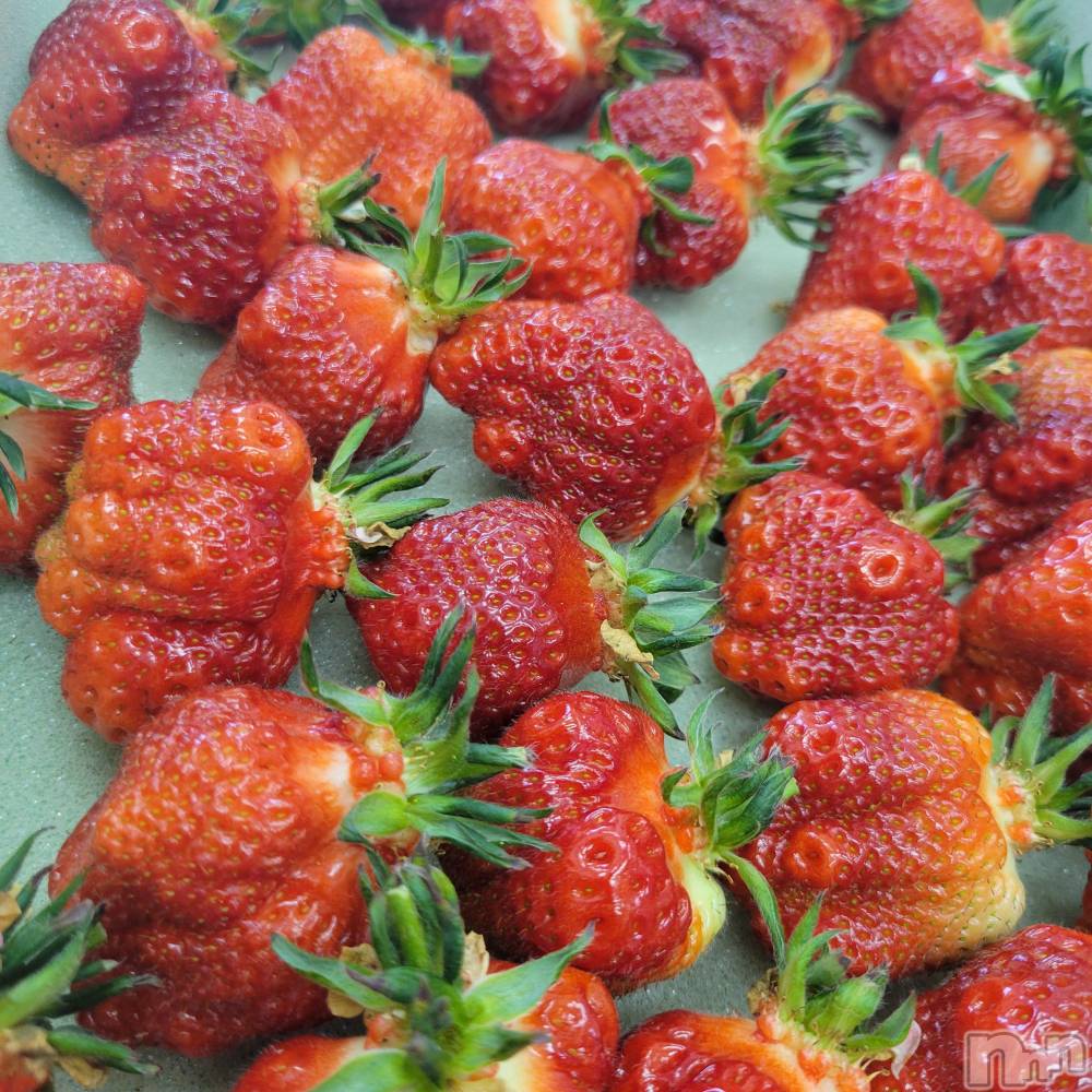 Х顦ֽϽХ Lips(奯祭Хåץ) 53ֱ̥֥۸ɱ🍓