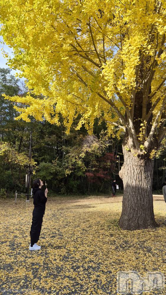 Х顦ֽϽХ Lips(奯祭Хåץ) 1130̥֥ɡ