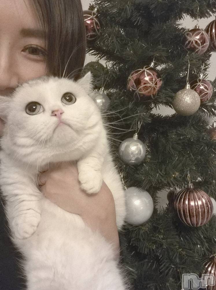 Х顦ֽϽХ Lips(奯祭Хåץ) 1213̥֥֥ꥹޥĥ꡼🎄