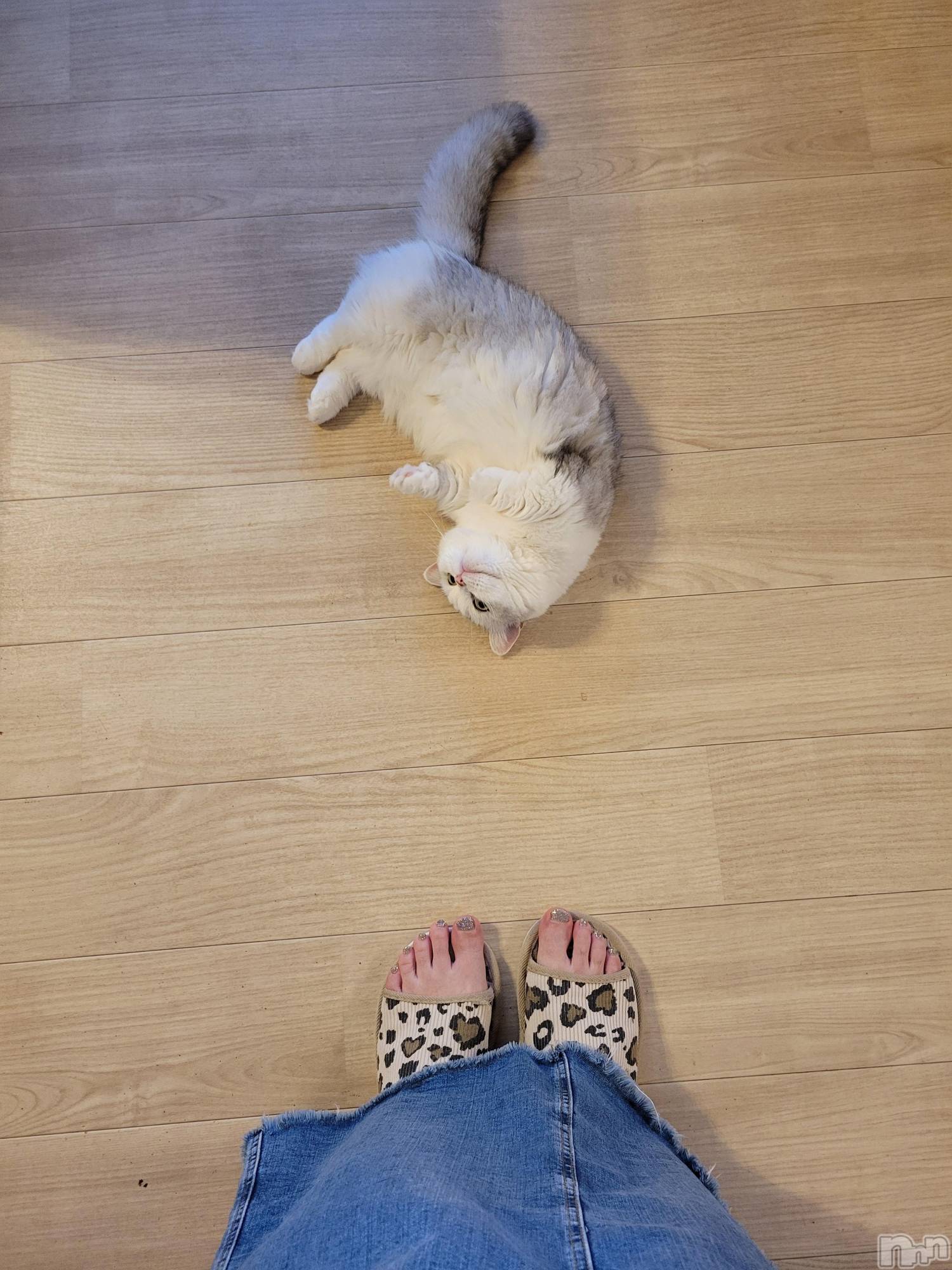 Х顦ֽϽХ Lips(奯祭Хåץ) 2024ǯ927ֲ̥֥椬Ȥ̼🐱💕