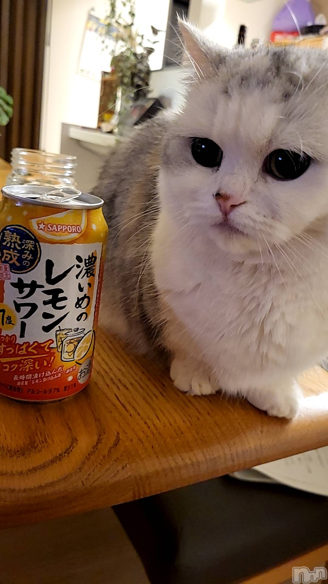 Х顦ֽϽХ Lips(奯祭Хåץ) 2025ǯ14̥֥🏠🍺